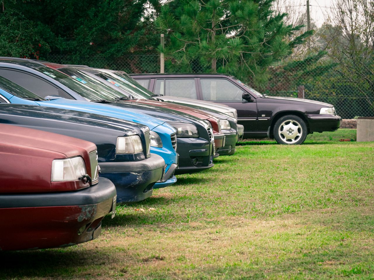 Several cars parked in a grassy field, showcasing a rural setting and diverse vehicle selection.